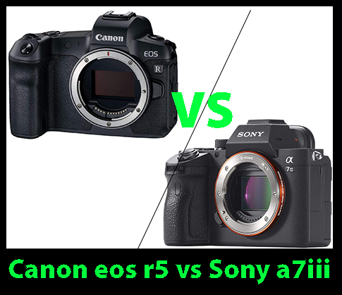 Canon eos r5 vs sony a7iii